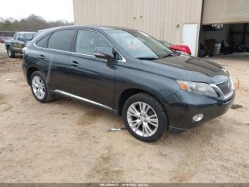  Salvage Lexus RX