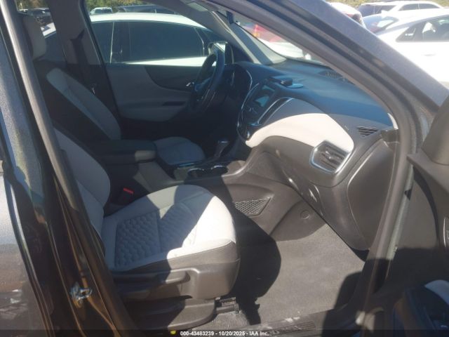 Chevrolet Equinox Ls Image 6