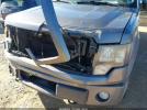 Ford F-150 Fx4 Image 12