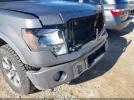Ford F-150 Fx4 Image 15