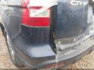 Honda CR-V Ex-l Image 17