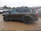 Kia Telluride Ex Image 2