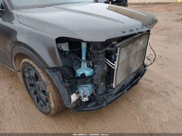 Kia Telluride Ex Image 5