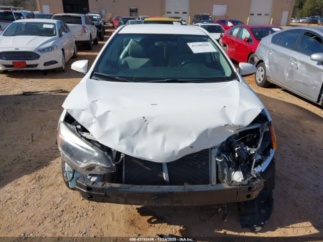 Toyota Corolla Le Image 13