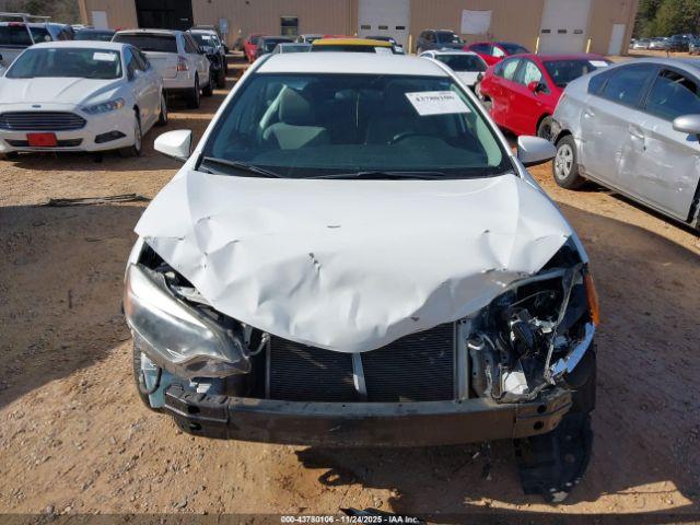 Toyota Corolla Le Image 13