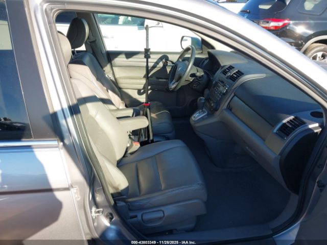 Honda CR-V Ex-l Image 12