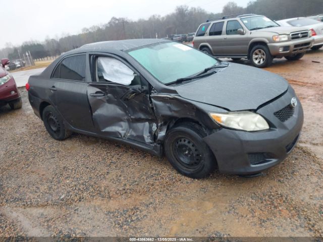 Toyota Corolla Le Image 1