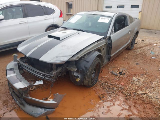 Ford Mustang Image 3