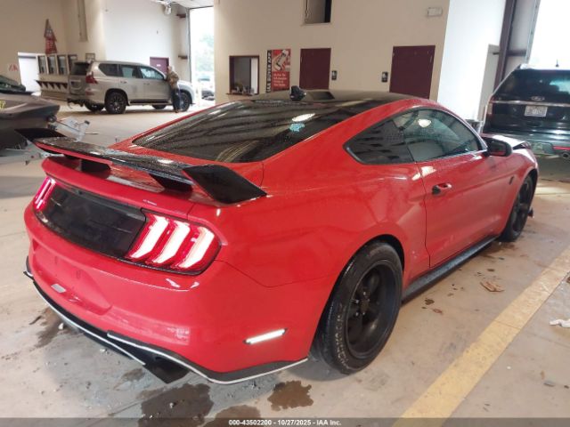 Ford Mustang Ecoboost Fastback Image 5