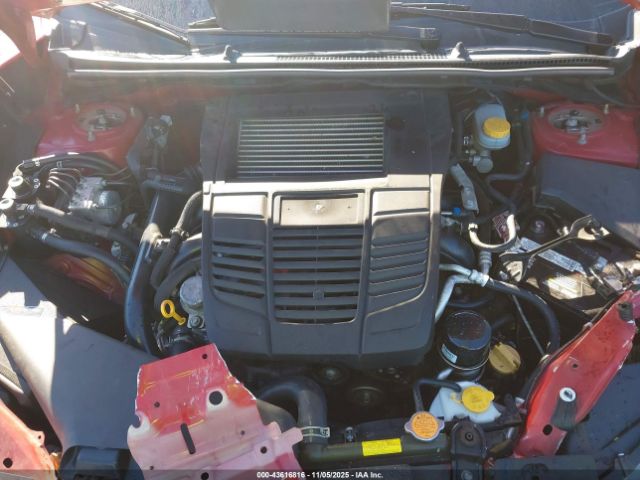 Subaru WRX Premium Image 12